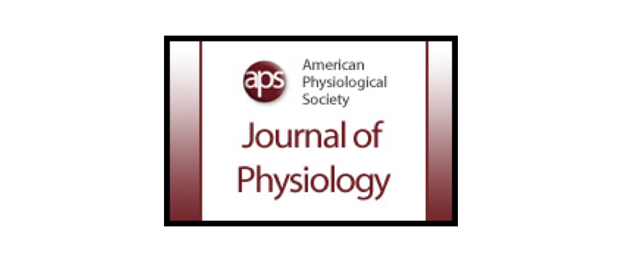 Geometry is a major determinant of flow reversal in proximal aorta