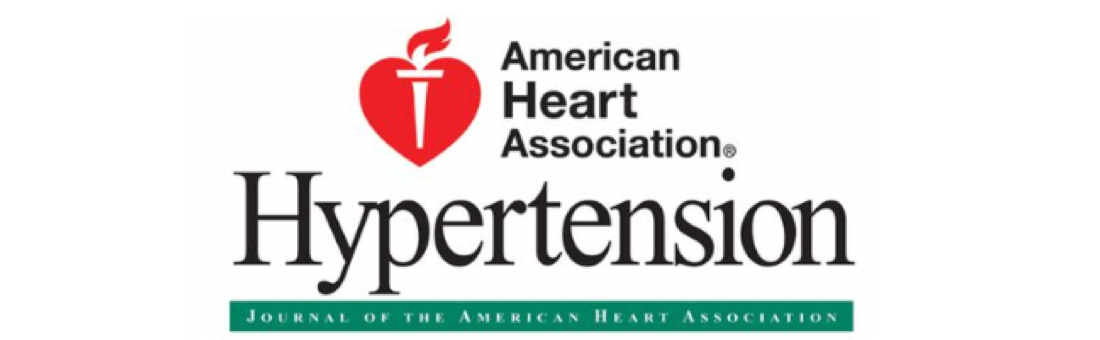 Differential impact of local and regional aortic stiffness on left ventricular remodeling: a cardiovascular magnetic resonance study